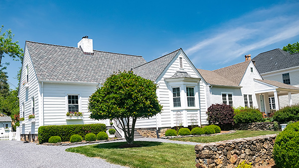 E-news Updates – December 26, 2025