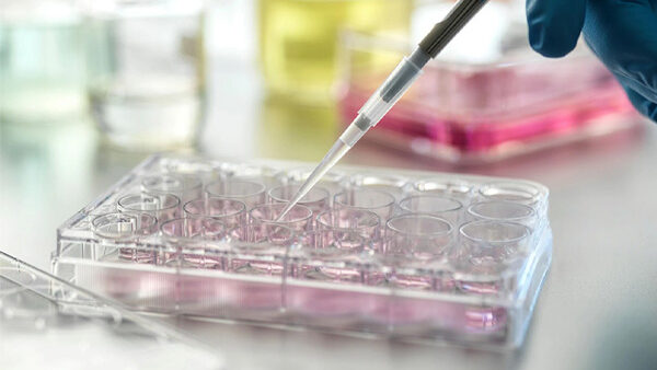 E-news Updates – January 30, 2026