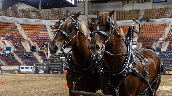 E-news Updates – January 9, 2026