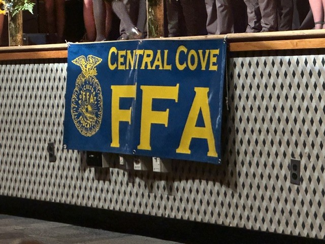 Central Cove FFA banner hanging in front of a stage.