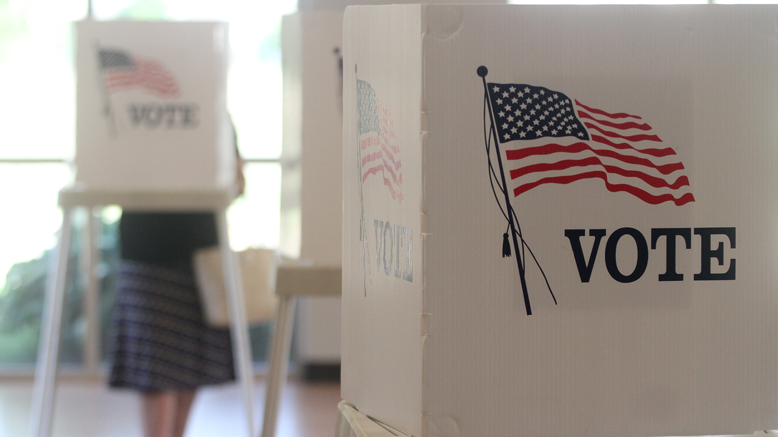 A privacy screen for voting and a woman filling out her ballot at another voting booth.