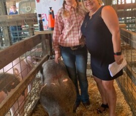 August 5, 2019 - A nice time at the Fulton County Fair and Youth Livestock Auction. I purchased Molly Mellott’s Reserve Champion Middleweight swine. Her sister Maggie also showed at the show as well. 08/05/19